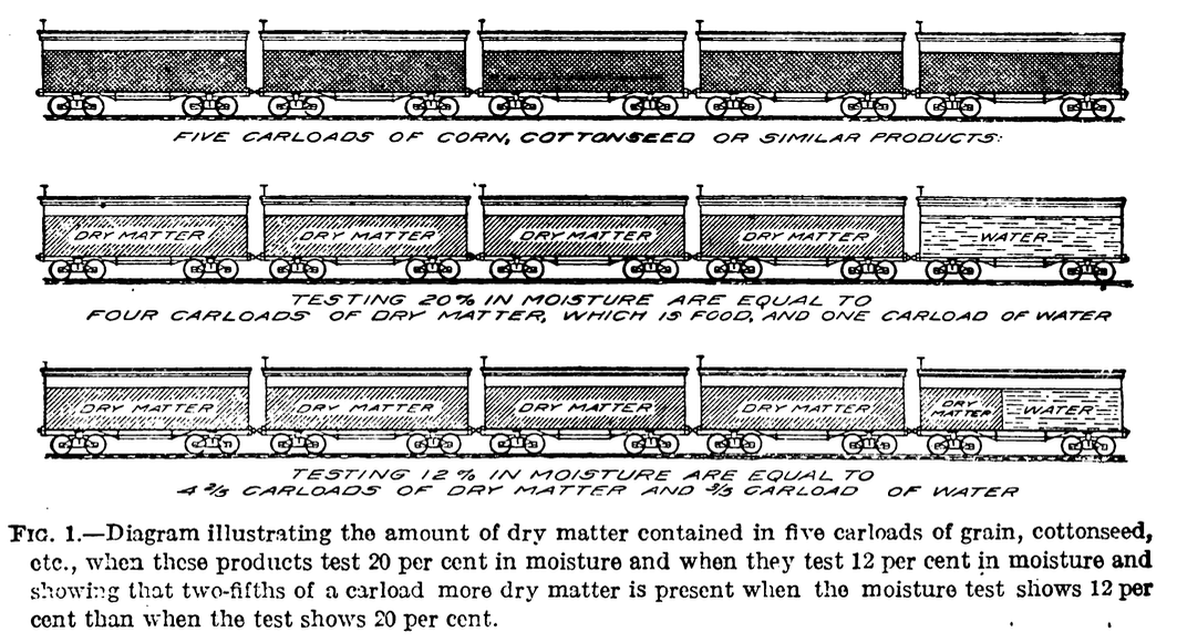 Fig. 1 from Boerner (1916)